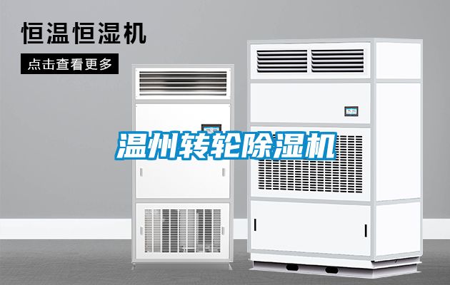 温州转轮麻豆视频黄网站