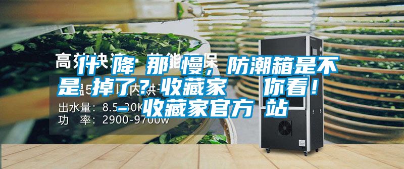 為什麼降濕那麼慢，防潮箱是不是壞掉了？收藏家實測給你看！ - 收藏家官方網站