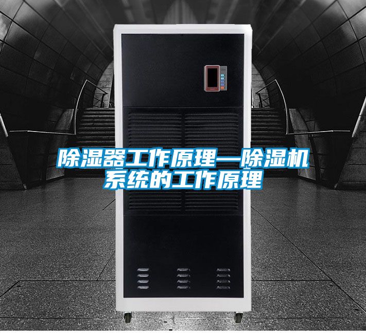 除湿器工作原理—麻豆视频黄网站系统的工作原理