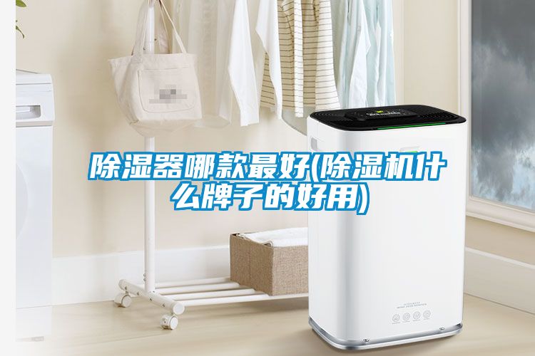 除湿器哪款最好(麻豆视频黄网站什么牌子的好用)