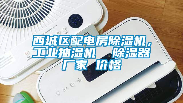西城区配电房麻豆视频黄网站，工业抽湿机  除湿器厂家 价格