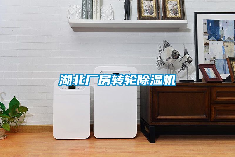 湖北厂房转轮麻豆视频黄网站