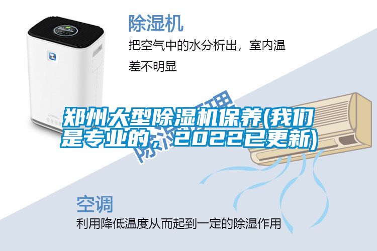 郑州大型麻豆视频黄网站保养(麻豆APP官网是专业的，2022已更新)
