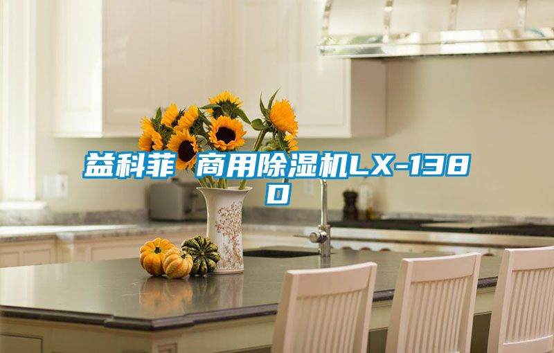 益科菲 商用麻豆视频黄网站LX-138D