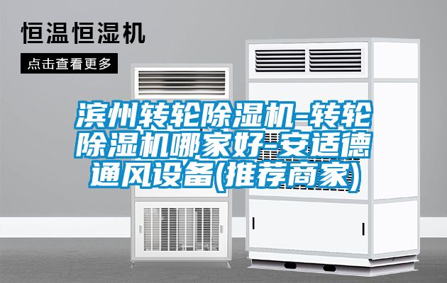 滨州转轮麻豆视频黄网站-转轮麻豆视频黄网站哪家好-安适德通风设备(推荐商家)