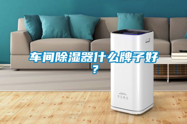 车间除湿器什么牌子好？