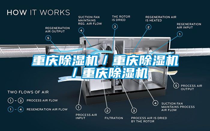 重庆麻豆视频黄网站／重庆麻豆视频黄网站／重庆麻豆视频黄网站
