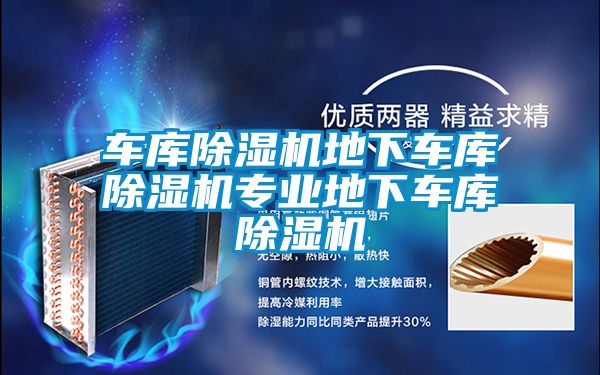 车库麻豆视频黄网站地下车库麻豆视频黄网站专业地下车库麻豆视频黄网站