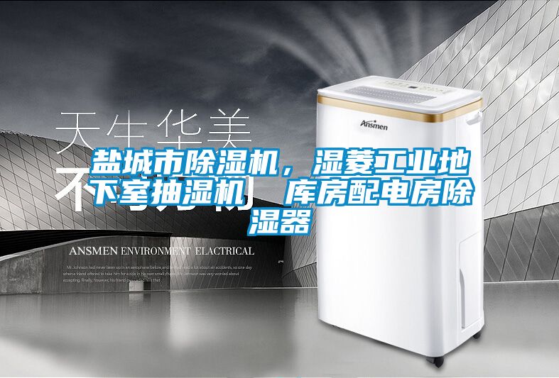 盐城市麻豆视频黄网站，湿菱工业地下室抽湿机  库房配电房除湿器