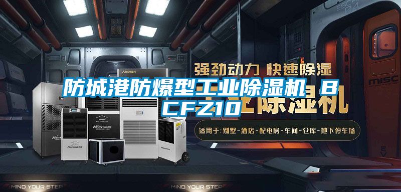 防城港防爆型工业麻豆视频黄网站 BCFZ10