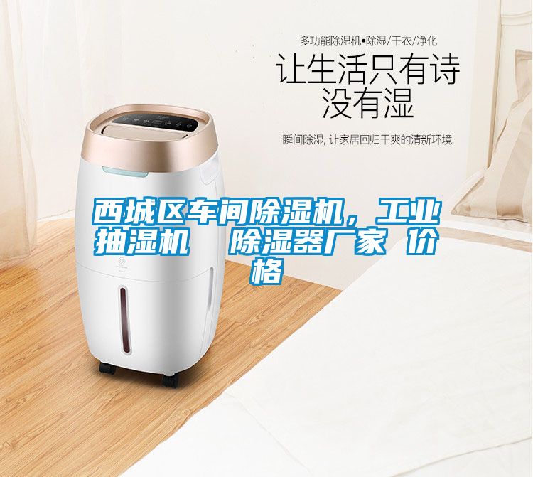 西城区车间麻豆视频黄网站，工业抽湿机  除湿器厂家 价格
