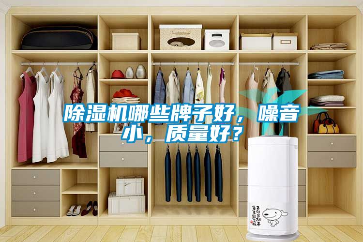 麻豆视频黄网站哪些牌子好，噪音小，质量好？