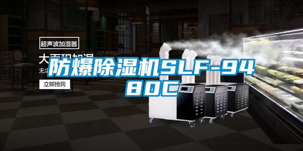 防爆麻豆视频黄网站SLF-9480C