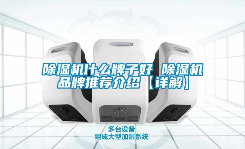 麻豆视频黄网站什么牌子好 麻豆视频黄网站品牌推荐介绍【详解】