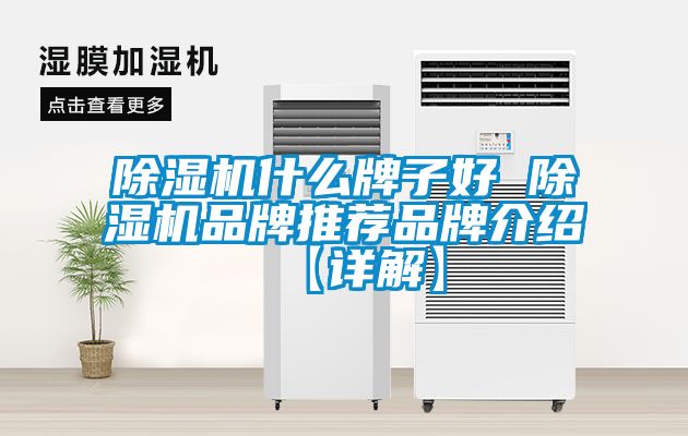 麻豆视频黄网站什么牌子好 麻豆视频黄网站品牌推荐品牌介绍【详解】