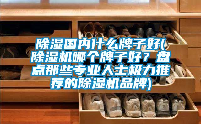 除湿国内什么牌子好(麻豆视频黄网站哪个牌子好？盘点那些专业人士极力推荐的麻豆视频黄网站品牌)