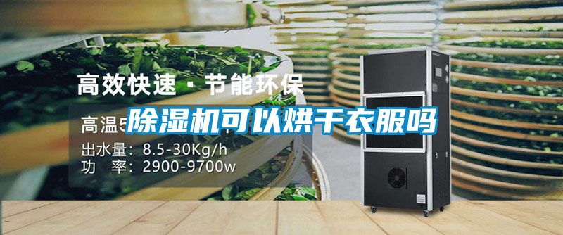 麻豆视频黄网站可以烘干衣服吗