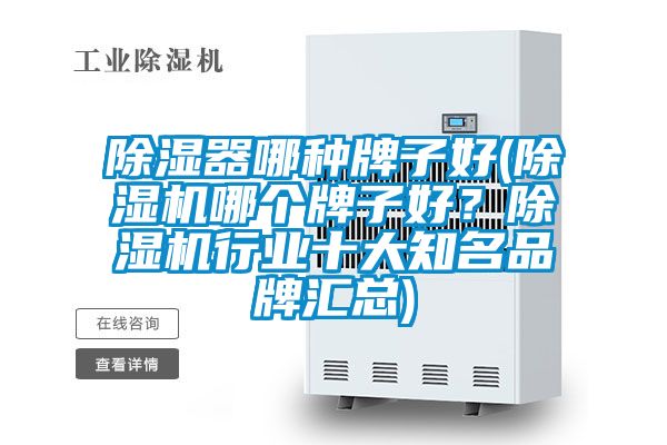 除湿器哪种牌子好(麻豆视频黄网站哪个牌子好？麻豆视频黄网站行业十大知名品牌汇总)