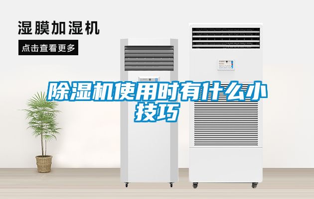 麻豆视频黄网站使用时有什么小技巧