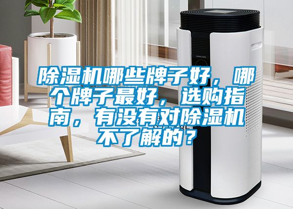 麻豆视频黄网站哪些牌子好，哪个牌子最好，选购指南，有没有对麻豆视频黄网站不了解的？
