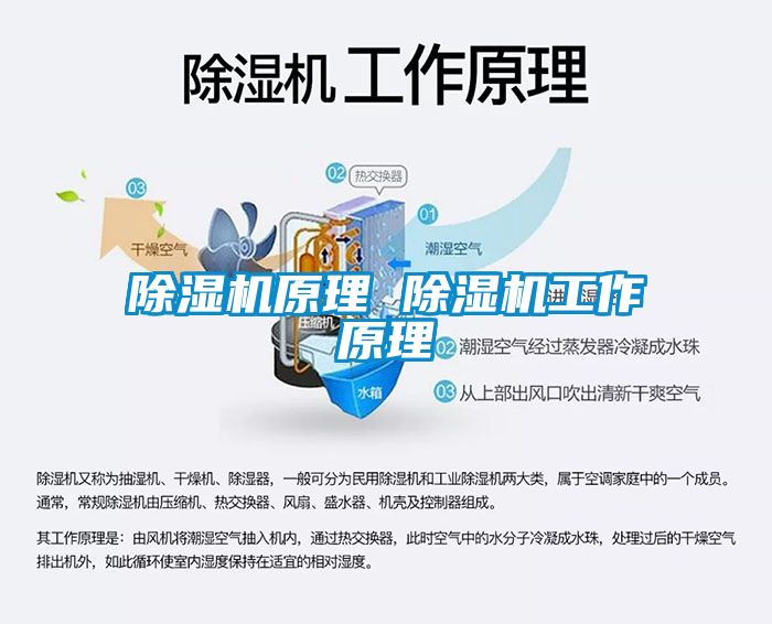 麻豆视频黄网站原理 麻豆视频黄网站工作原理