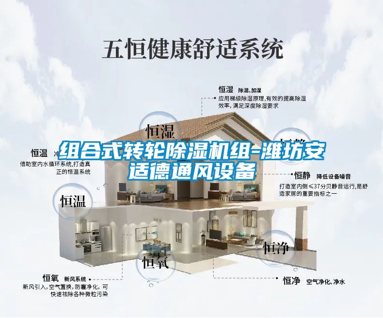 组合式转轮麻豆视频黄网站组-潍坊安适德通风设备