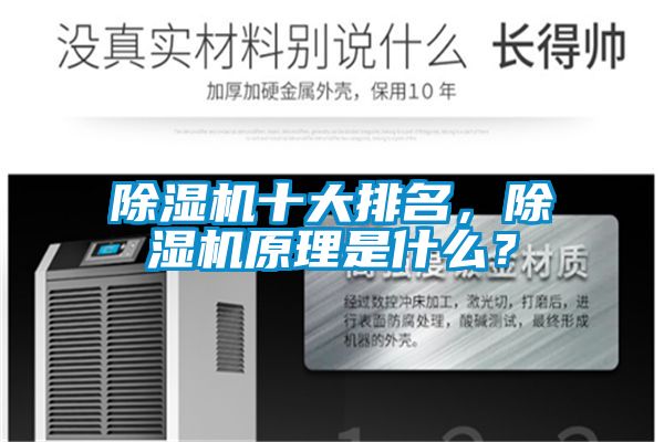 麻豆视频黄网站十大排名，麻豆视频黄网站原理是什么？