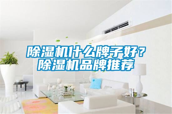 麻豆视频黄网站什么牌子好？麻豆视频黄网站品牌推荐