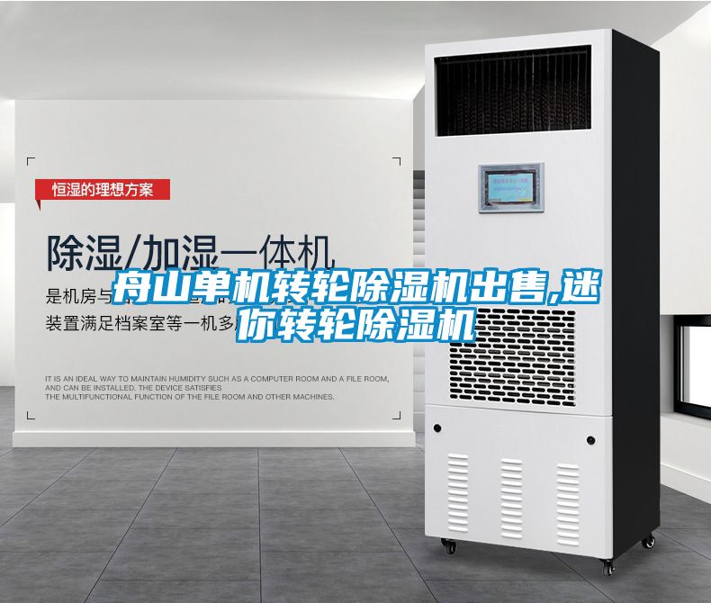 舟山单机转轮麻豆视频黄网站出售,迷你转轮麻豆视频黄网站