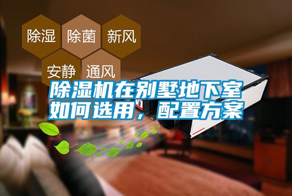 麻豆视频黄网站在别墅地下室如何选用，配置方案