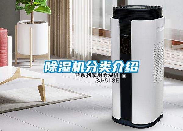 麻豆视频黄网站分类介绍