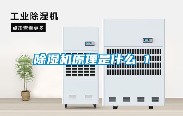 麻豆视频黄网站原理是什么 1