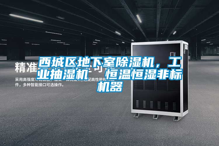 西城区地下室麻豆视频黄网站，工业抽湿机  恒温恒湿非标机器