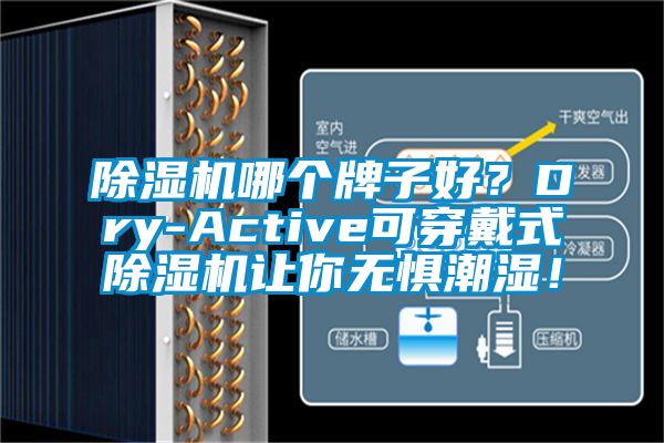 麻豆视频黄网站哪个牌子好？Dry-Active可穿戴式麻豆视频黄网站让你无惧潮湿！