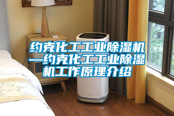 约克化工工业麻豆视频黄网站—约克化工工业麻豆视频黄网站工作原理介绍