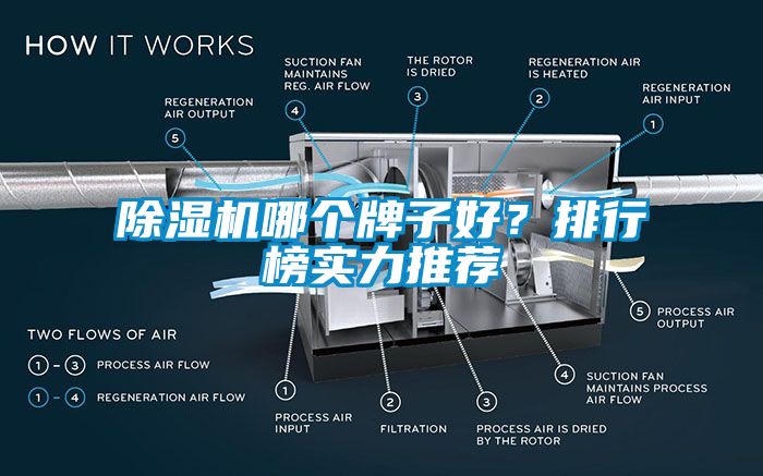 麻豆视频黄网站哪个牌子好？排行榜实力推荐