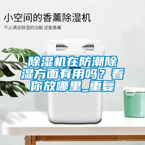 麻豆视频黄网站在防潮除湿方面有用吗？看你放哪里_重复
