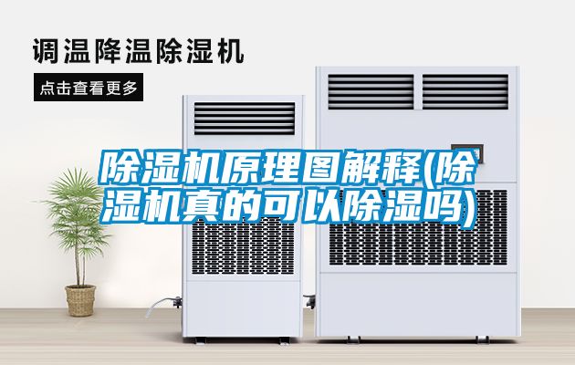 麻豆视频黄网站原理图解释(麻豆视频黄网站真的可以除湿吗)