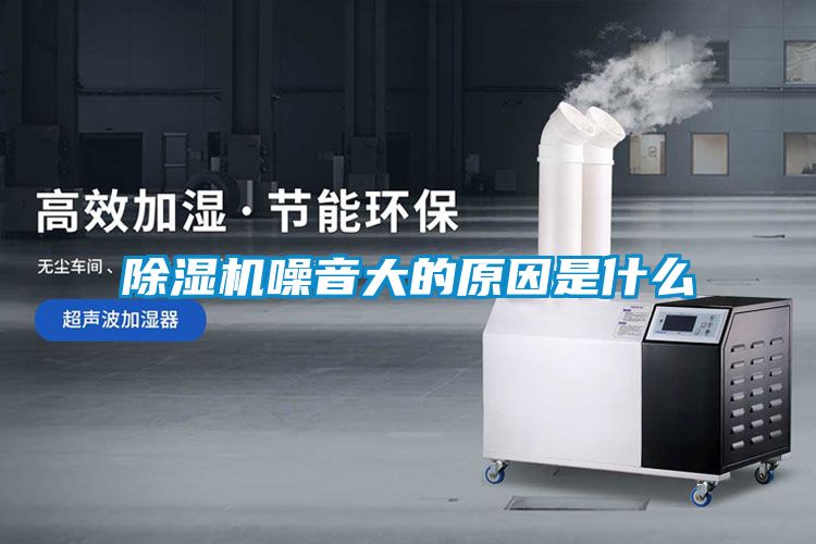 麻豆视频黄网站噪音大的原因是什么