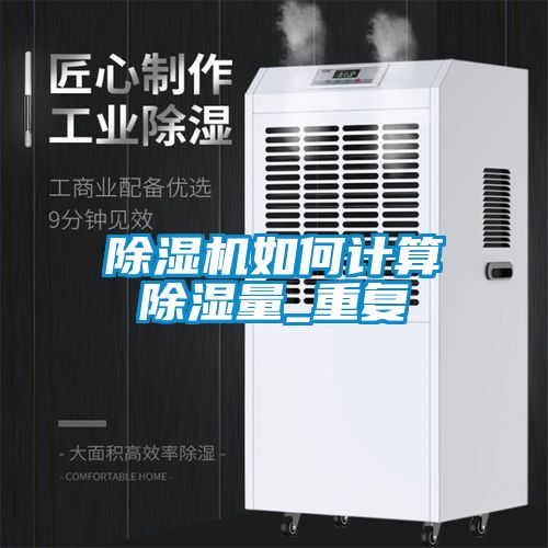 麻豆视频黄网站如何计算除湿量_重复