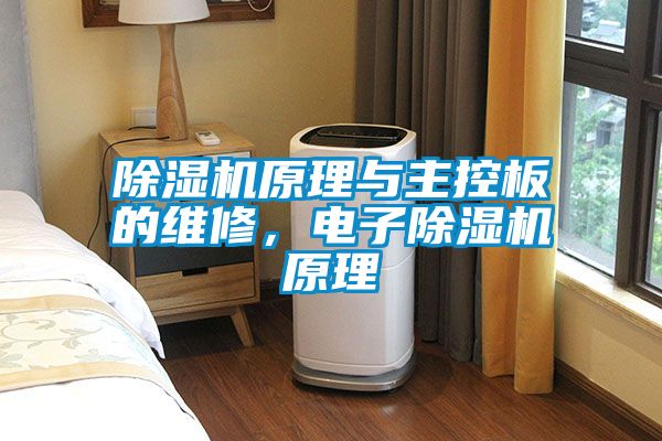 麻豆视频黄网站原理与主控板的维修，电子麻豆视频黄网站原理