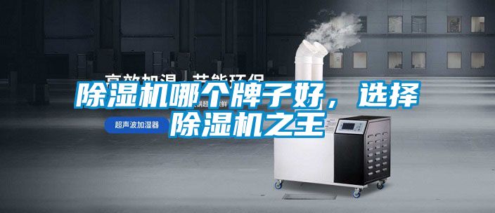 麻豆视频黄网站哪个牌子好，选择麻豆视频黄网站之王