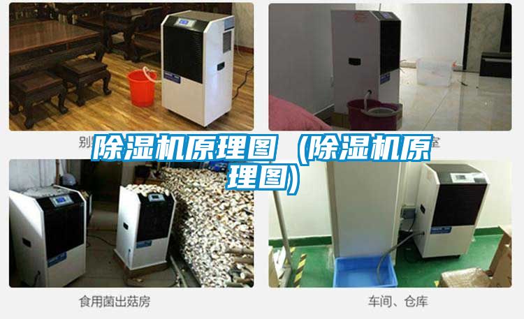 麻豆视频黄网站原理图 (麻豆视频黄网站原理图)