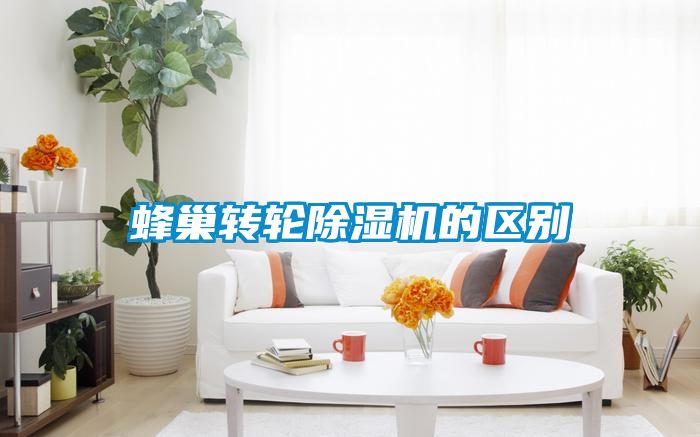 蜂巢转轮麻豆视频黄网站的区别