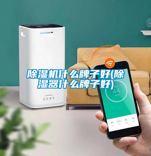 麻豆视频黄网站什么牌子好(除湿器什么牌子好)