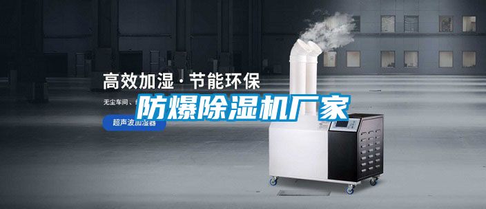 防爆麻豆视频黄网站厂家