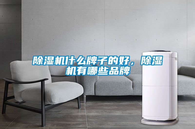 麻豆视频黄网站什么牌子的好，麻豆视频黄网站有哪些品牌