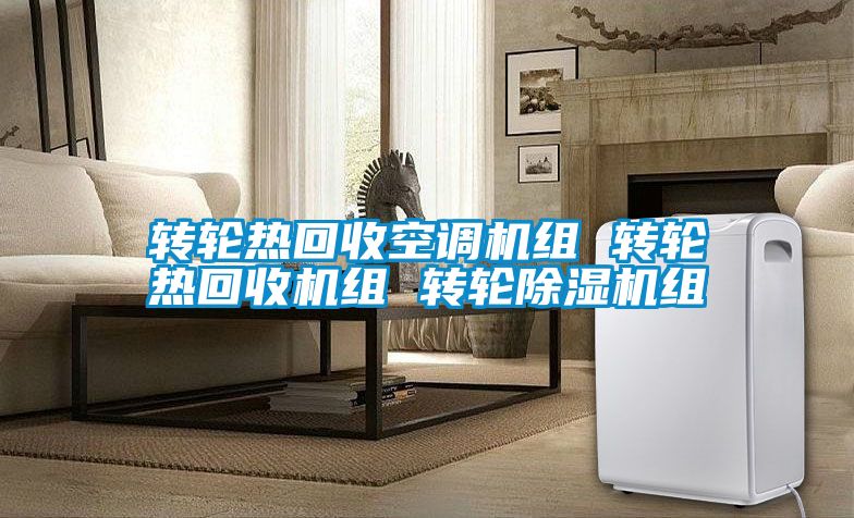 转轮热回收空调机组 转轮热回收机组 转轮麻豆视频黄网站组