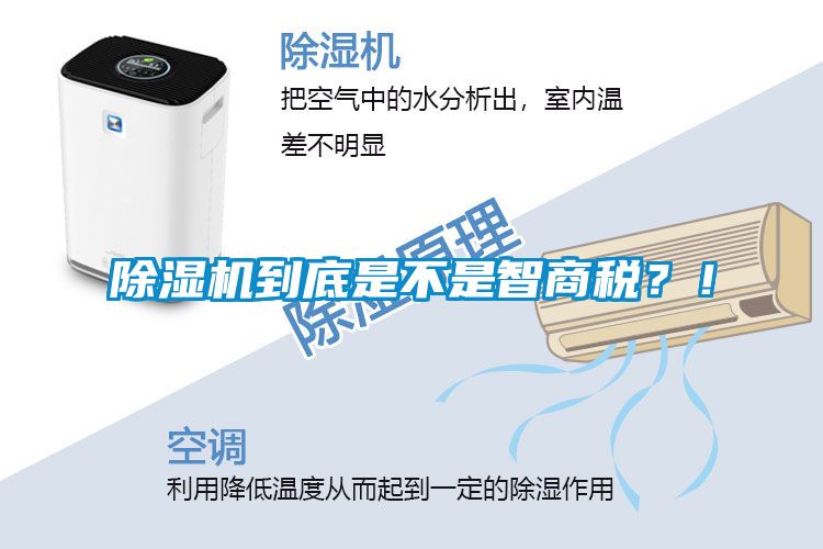 麻豆视频黄网站到底是不是智商税？！