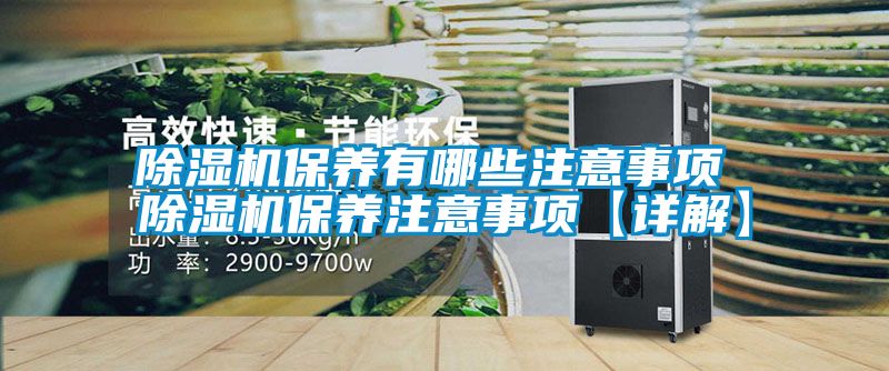麻豆视频黄网站保养有哪些注意事项 麻豆视频黄网站保养注意事项【详解】